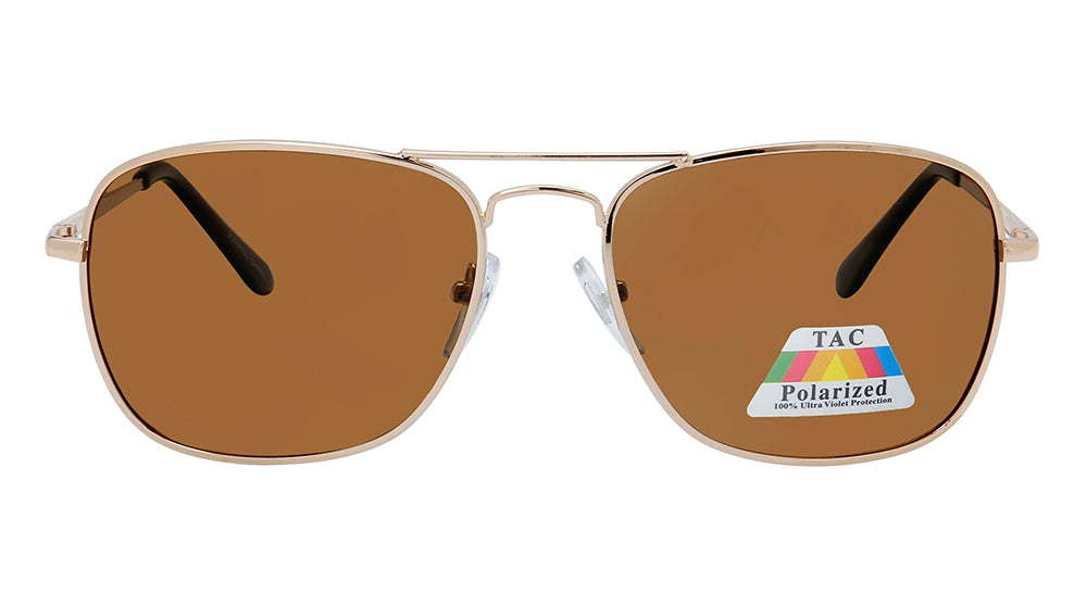 2009POL